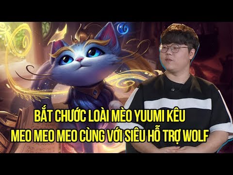 Wolf chỉ dạy cách chơi cô mèo Yuumi, hỗ trợ thế nào là đúng cách, xem ngay nếu chưa biết chơi