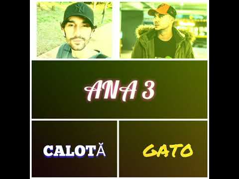 Calotă❌Gato-ANA 3