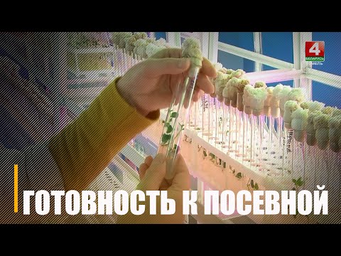 Производственная база «Хмеленец» готовит к сезону посевной материал видео
