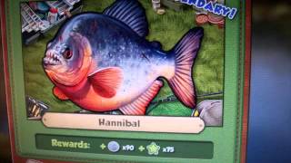 Promise Of A Fisherman