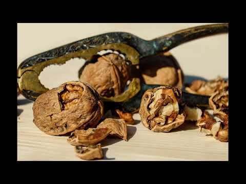 Apple lanza iOS?26.3 y macOS?26.3 para cerrar vulnerabilidad zero?day crítica