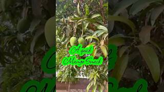 Download lagu A Mango snack #itsmaureenmw #unripemango #malawianyoutuber mp3