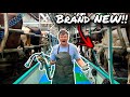 HOW TO MILK COWS 150 COWS MILKED IN RAPID TIME