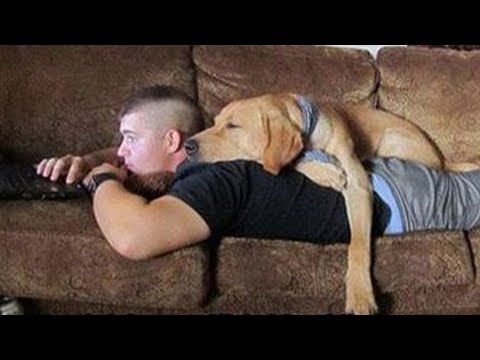 Pas besoin d'un ami quand on a un chien