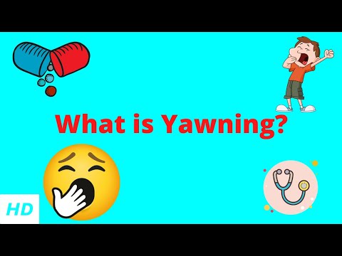 What is Yawning?