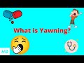 What is Yawning?