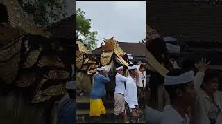 Download lagu Banaspati Raja#budaya #bali #hindu #seni #tradisi #art #adat #agama mp3