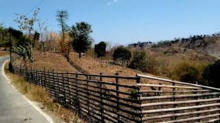 Download lagu Didi Kempot - Pamer Bojo Versi Rock (David Endra Cover) || Story WA Keren mp3