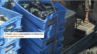 3 facts about corruption in fisheries you need to know