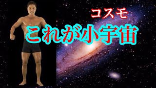 【超現実マインクラフト】これが小宇宙だよ＃１