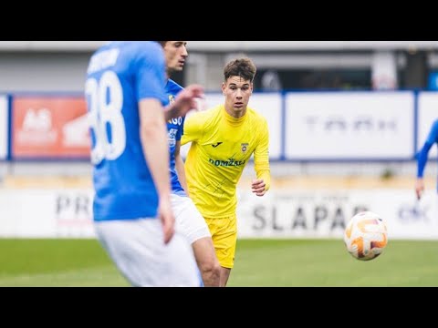 Luka Topalovic - NK Domzale 2022/23