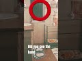 Did You See The Hand