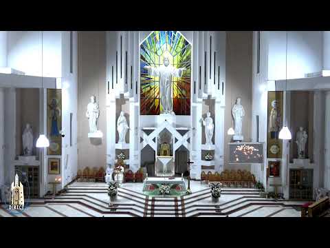 LIVE - Biserica Romano-Catolică  Sfinţii Petru si Paul  Bacau