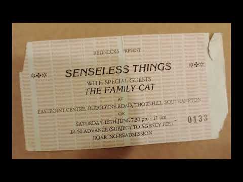 Senseless Things - Live @ Eastpoint Centre, Southampton, June 1991