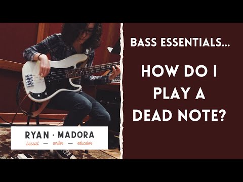 How To Play Dead Notes On Bass: What Is A Dead Note and Where Should I Play Them?