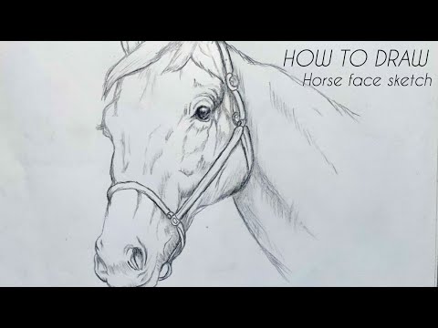 How to draw a realistic Horse animal face sketch...