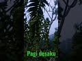 Story Wa Suasana Pagi Didesa Menyegarkan Dan Penuh Kedamaian Tanpa Polusi
