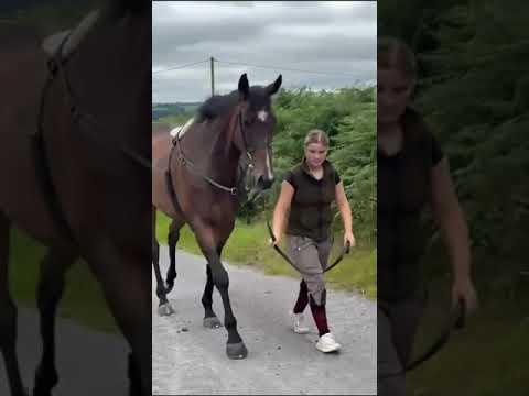 Video 1
