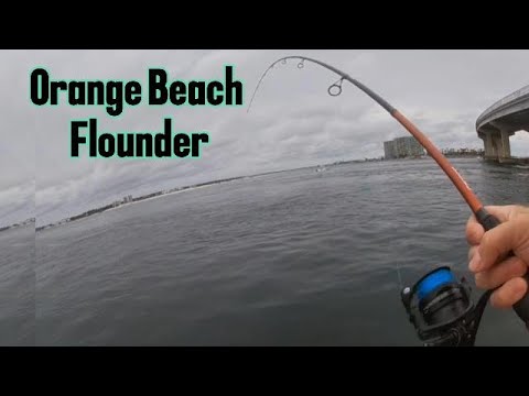 I Used This New Product and Caught This. Orange Beach Alabama Flounder