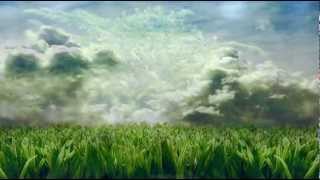 Kenny Rankin What Matters Most