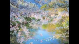 Chesapeake Blackjack Davey