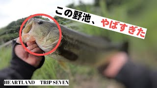 【野池】初場所でまさかの。。。【バス釣り】