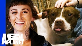 Vladimir Find A New Home Where He Learns 'How To Dog' | Pit Bulls & Parolees by Animal Planet