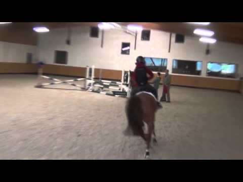 Sportpferde Matthias Keil - Chesterfield