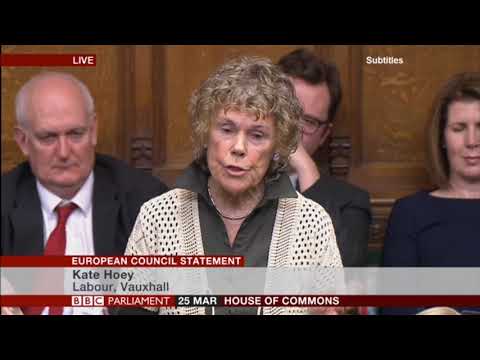 Kate Hoey MP at the European Council Statement