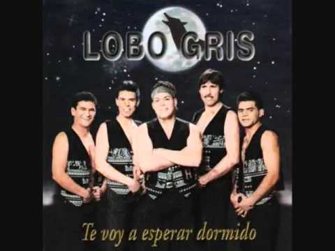 Grupo Lobo Gris-Calla Muchachita