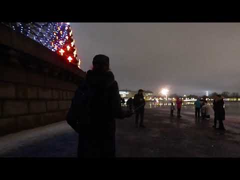 #СашаКира. Стрелка Васильевского острова. Санкт-Петербург 01.01.2021