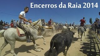preview picture of video 'Encerros da Raia 2014 - Slow motion ( capeia )'