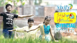 Seetamma Pelliki SreeRamudevaru thumbnail