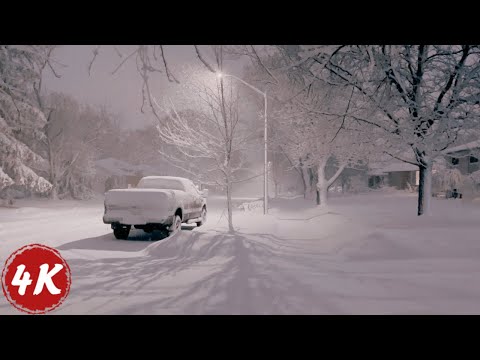 Night Walk in Extreme Winter SNOW STORM | Southern Ontario, Canada, Jan 2024 | 4K