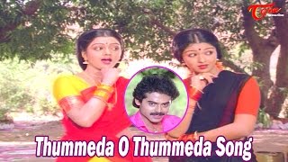 Thummeda O Thummeda Song  Srinivasa Kalyanam Songs