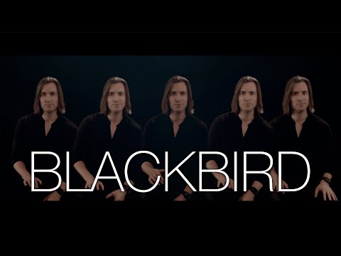 Blackbird | The Beatles | Bass Singer Cover - YouTube