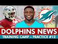 Miami Dolphins News From Training Camp Ft. Chris Bell, Kyle Louis, & Chop Robinson