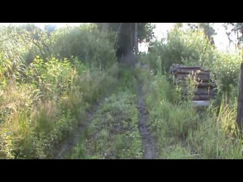 Standort Kozarderfalle