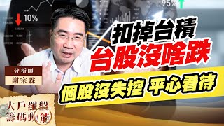 扣掉台積 台股沒啥跌 個股沒失控 平心看待 (圖)