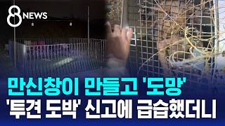 껌껌한 도로 위 차량들..온몸에 상처 처참한 광경 / SBS 8뉴스