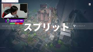 ソロ