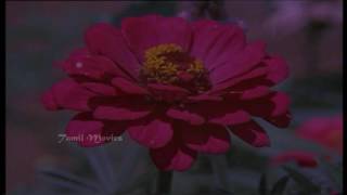 Download lagu Paruvamae Song HD mp3