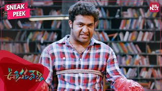 Young Tiger NTRs Mass Scene  Oosaravelli  NTR  Tam