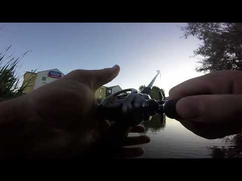 Trying something new...