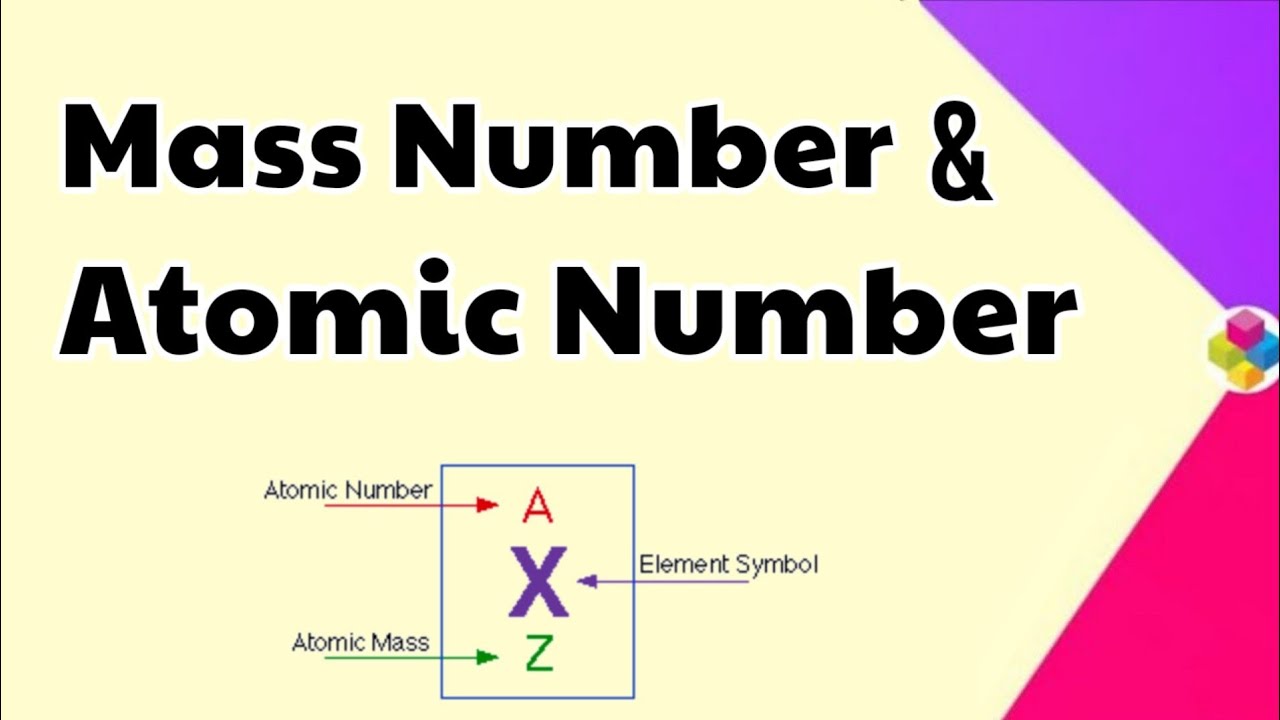 Atomic Number & Mass Number | Structure of Atom | Class 11 & 12 | Science