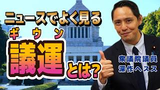 ニュースでよく耳にする議運って何？　【国民民主党】深作ヘスス