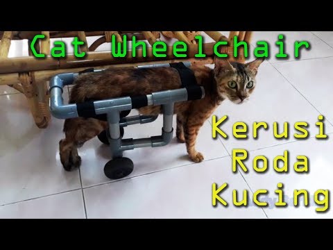 Kerusi Roda Kucing Cat Wheelchair Otafuse