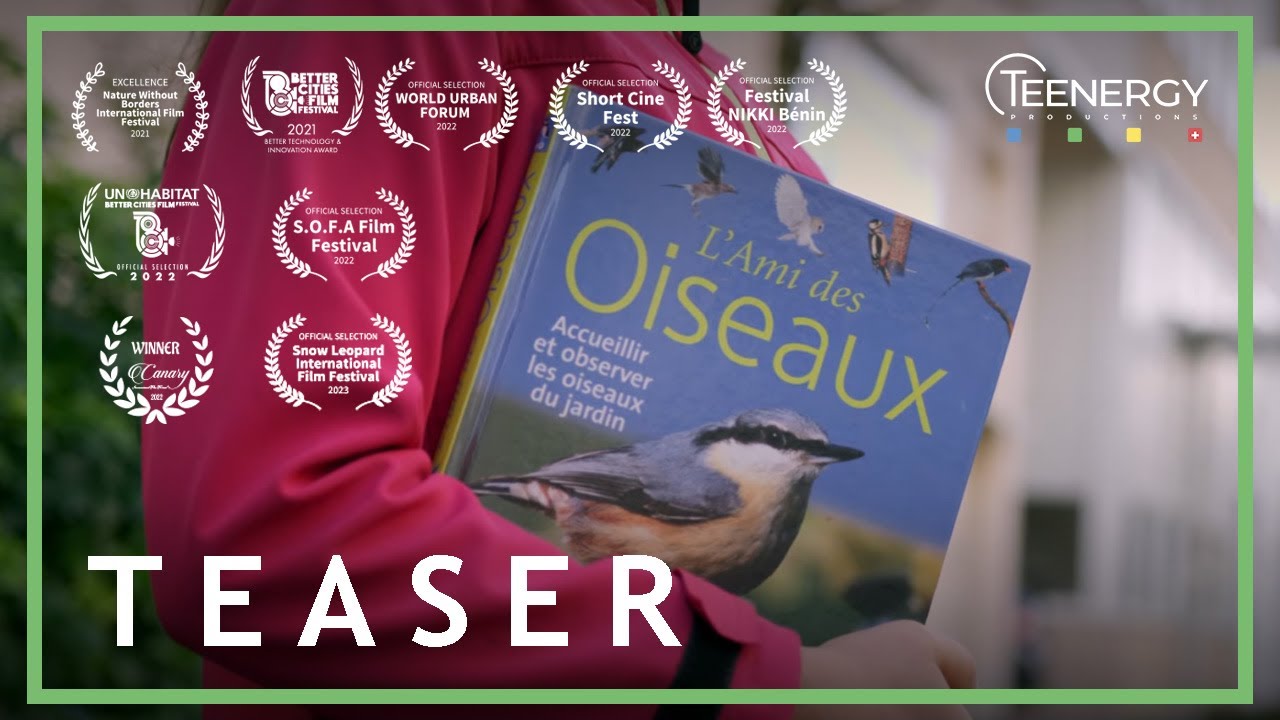 Dessine-moi une hirondelle | Bande annonce