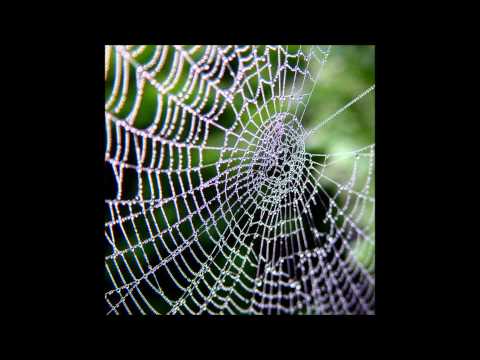 Duane Stephenson - Mr. B