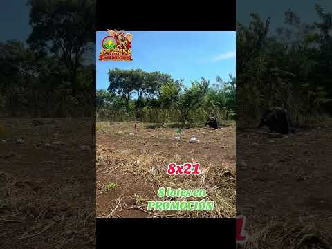 Vendo lotes en Lupita Santo Domingo Suchitepequez